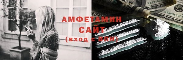 ешки Алексин