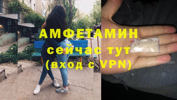 винт Алзамай