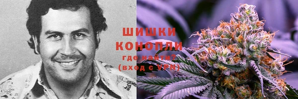 ешки Алексин