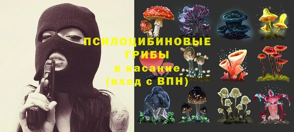 винт Алзамай